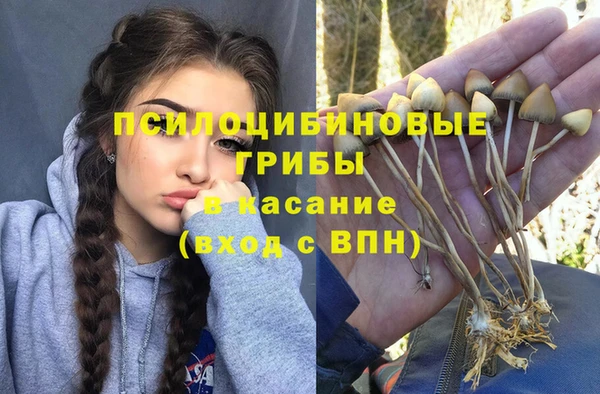 трава Лихославль