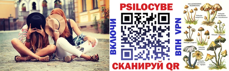 как найти закладки  Павловская  Галлюциногенные грибы мицелий 